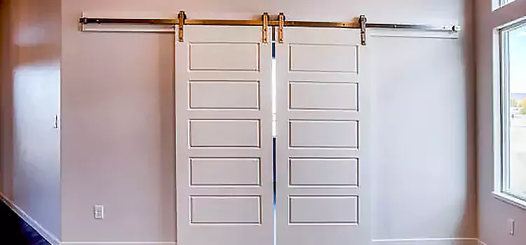 Glass Barn Door with Installation Hardware Kit Apache Junction
