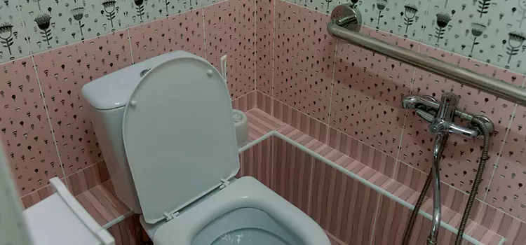 Meeting Diverse Needs With Accessible Restroom Solutions in Apache Junction, AZ