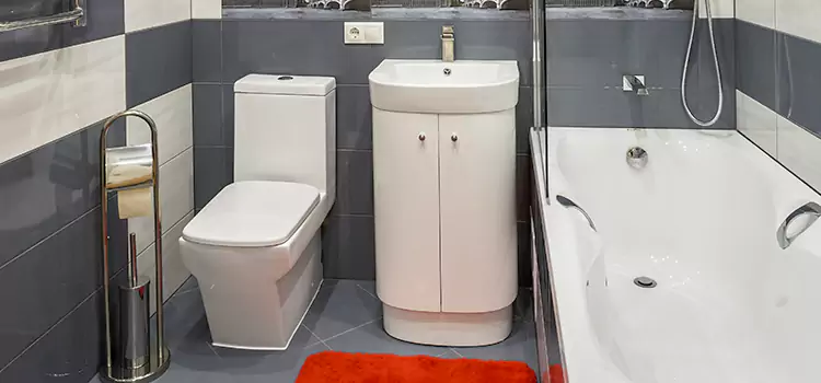 Hansgrohe Shaving Mirror Apache Junction